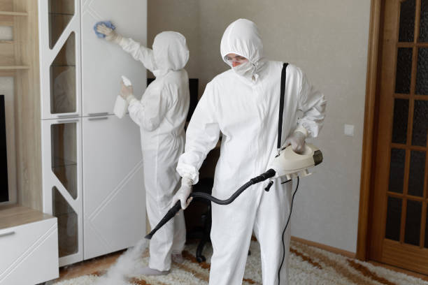 24/7 Emergency Odor Removal experts in Fairfax, SC