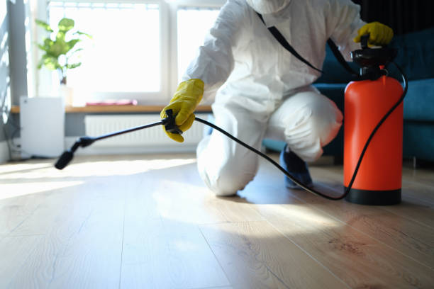Reliable Odor Removal contractor in Fairfax, SC by Trauma Clean Pros